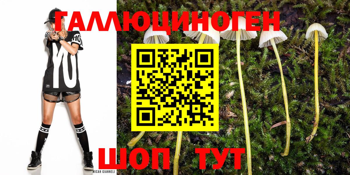 Галлюциногенные грибы MAGIC MUSHROOMS  Псилоцибиновые грибы мицелий  Новоуральск  Вход с VPN 