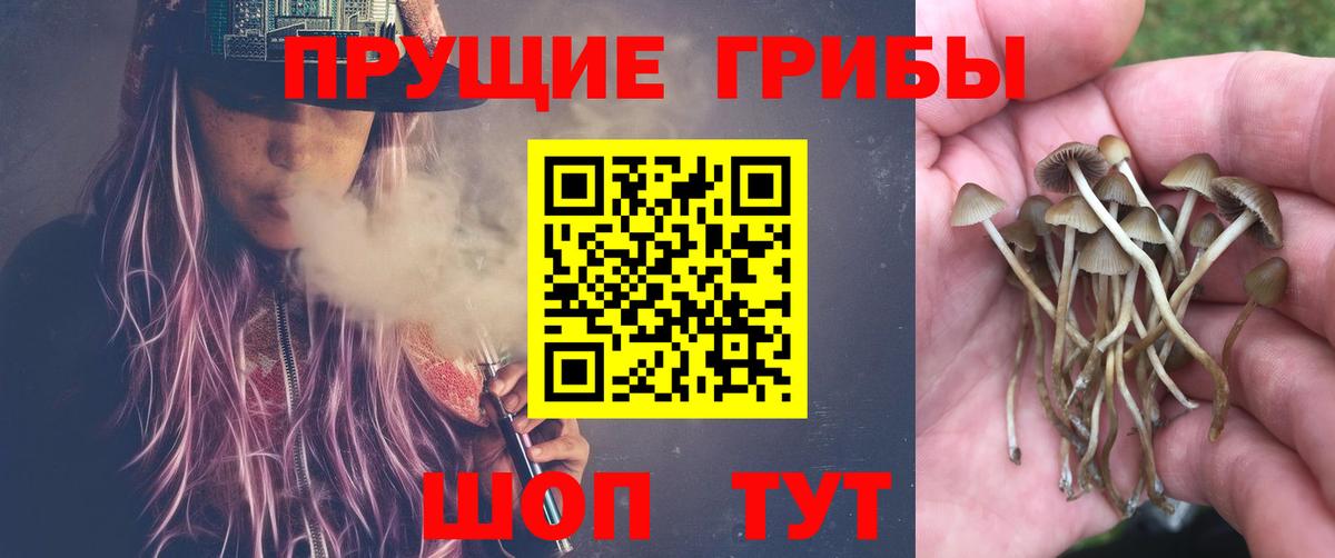 Сколько стоит  КОКАИН  Новоуральск  NBOMe  Меф   ГАШИШ  Вход с VPN  Экстази 